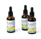 Ext.olivo 50ML Maese Herbarium