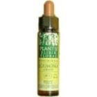 Senape Plantis No.21 10 ml Senape Plantis No.21 10 ml