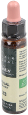 Noce Plantis n. 33 10 ml