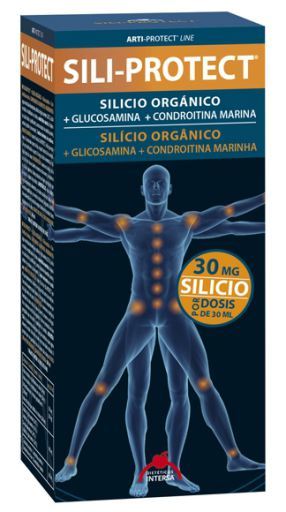 Intersa Sili-Protect 500 ml