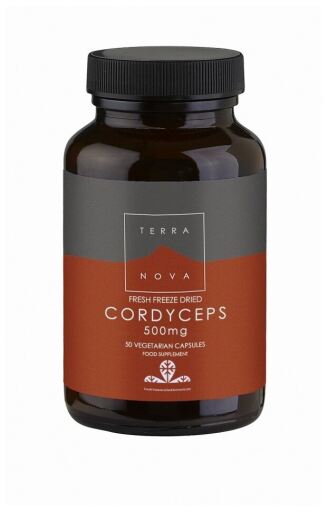 Terranova Cordiceps 500 mg. Capsule 50V
