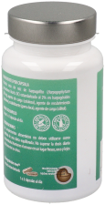 Microgranuli di arpagofita 45 capsule