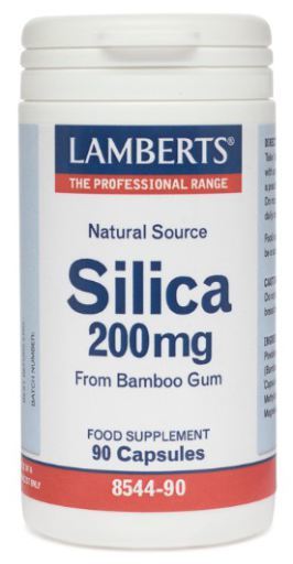 Lamberts Silica Silicio 200 mg 90 Capsule