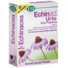 Echinaid Urto Extra Strength 30 capsule Echinaid Urto Extra Strength 30 capsule