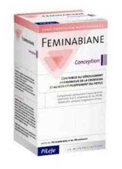 Pileje Feminabiane Concepcion.