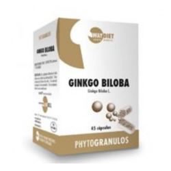 Ergonat Ginkgo Biloba 45 capsule