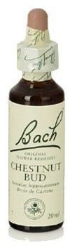 Original Flower Essences Bach 7 Chestnut Bud 20 ml