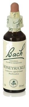 Original Flower Essences Bach 16 Caprifoglio 20 ml