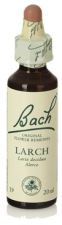 Bach 19 Larch 20 ml Bach 19 Larch 20 ml