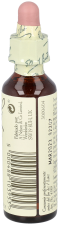 Bach 19 Larch 20 ml Bach 19 Larch 20 ml
