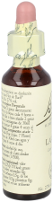 Bach 19 Larch 20 ml Bach 19 Larch 20 ml