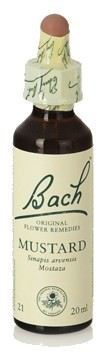 Original Flower Essences Bach 21 Mustard 20 ml