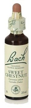 Original Flower Essences Bach 30 Castagno dolce 20 ml