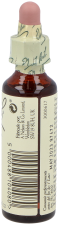 Bach 32 Vite 20 ml