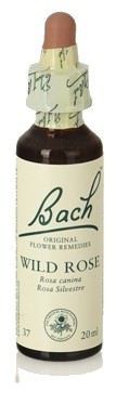 Original Flower Essences Bach 20 Wild Rose 20 ml