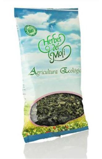Herbes del Mol&iacute; Dente di Leone Eco Plant