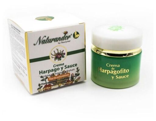 Fleurymer Crema di Harpagophytum + Salsa Naturandor 50 ml
