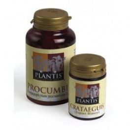 Artesania Agr&iacute;cola Bilobis Plantis Ginko 60 capsule