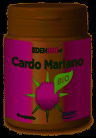 Cardo mariano