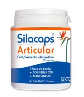 Labo Sante Silice Silacaps Joint 120 capsule