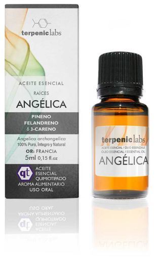 Terpenic Lab Olio Essenziale di Angelica 5 ml