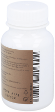 Reishi 500 mg 90 capsule