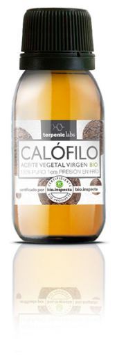 Terpenic Lab Olio vegetale di Calophyllum