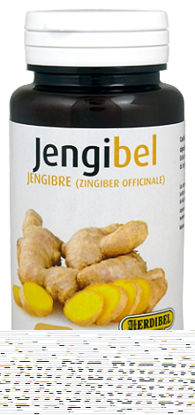 Jengibel 100 capsule