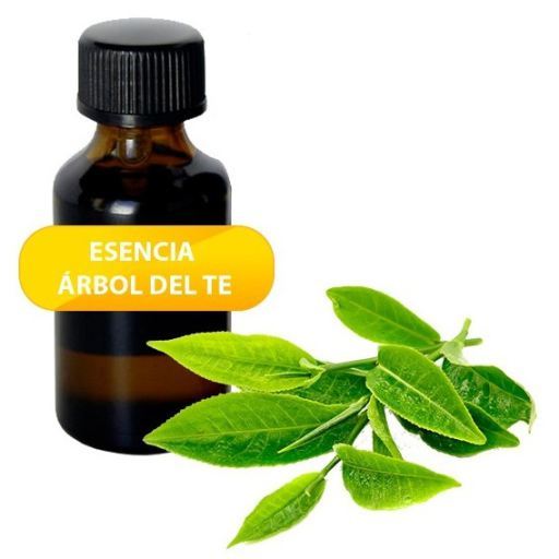 Herbi Feet Olio essenziale di melaleuca 100 ml