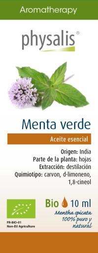 Essenza di menta verde 10 ml
