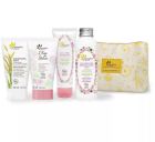 Beauty Line Pink 4 Unit&agrave;
