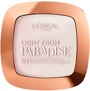 L'Or&eacute;al Paris Polvere Illuminante Iconic Glow 01
