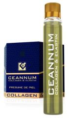 Collagene ed Elastina 10 Fiale Collagene ed Elastina 10 Fiale