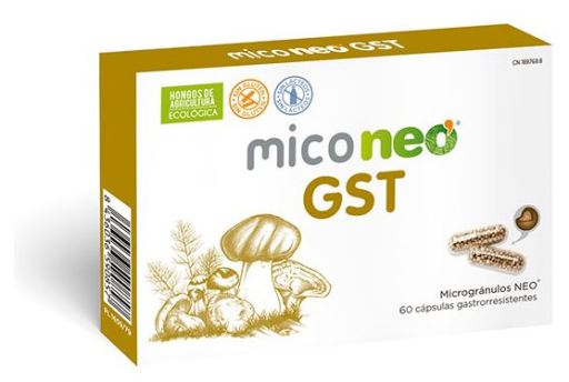 Neovital Health Mico Neo Gst 60 capsule