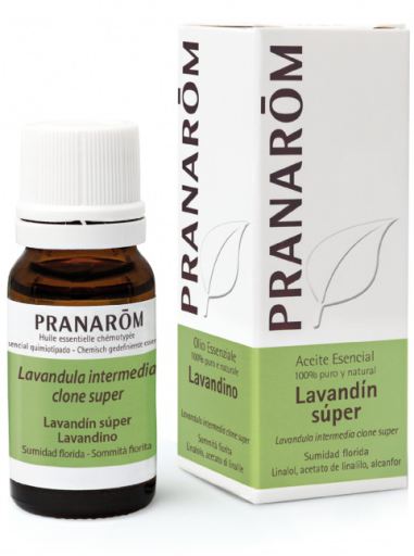 Pranarom Olio essenziale di Super Lavanda