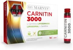 Carnitina 3000 25 ml x 14 fiale Carnitina 3000 25 ml x 14 fiale