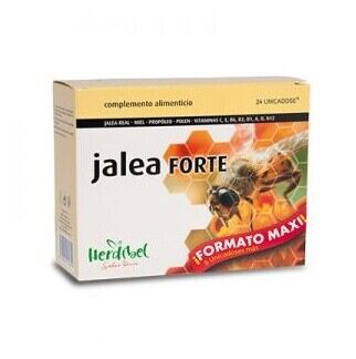 Herdibel Forte Maxi Jelly 24 unit&agrave;