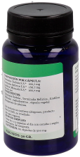 Triphala Ayurveda 60 capsule