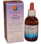 Msa Betula Pubencens Gemme 50 ml