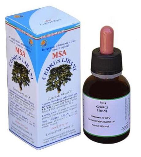 Herboplanet Msa Cedrus Libani Germogli 50 ml