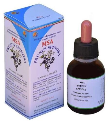 Herboplanet Msa Prunus Spinosa Germogli 50 ml