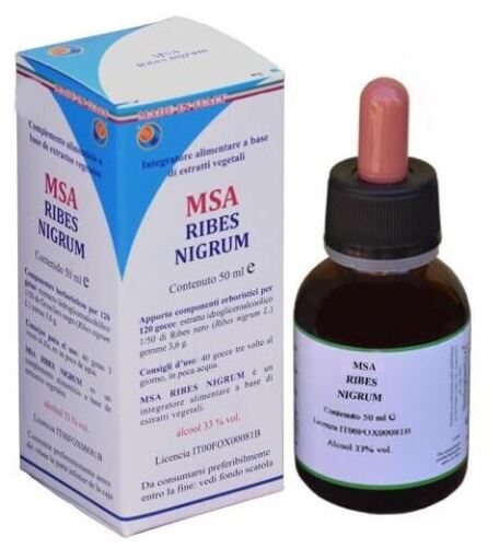 Herboplanet Msa Ribes Nigrum Germogli di Ribes Nero 50 ml