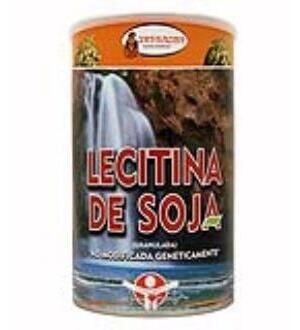 Intracma Lecitina di Soia Busta 400 gr