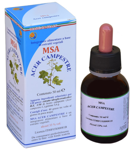 Herboplanet Msa Acer Campestre Buds 50 ml