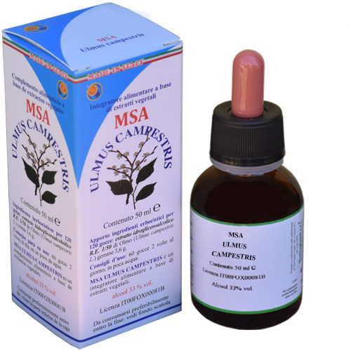 Herboplanet Msa Ulmus Campestris Germogli di Olmo 50 ml