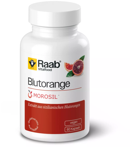 Raab Vitalfood Morosil 500 mg 60 Capsule Vegane