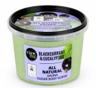 Scrub corpo allo zucchero di ribes nero ed eucalipto 250 ml